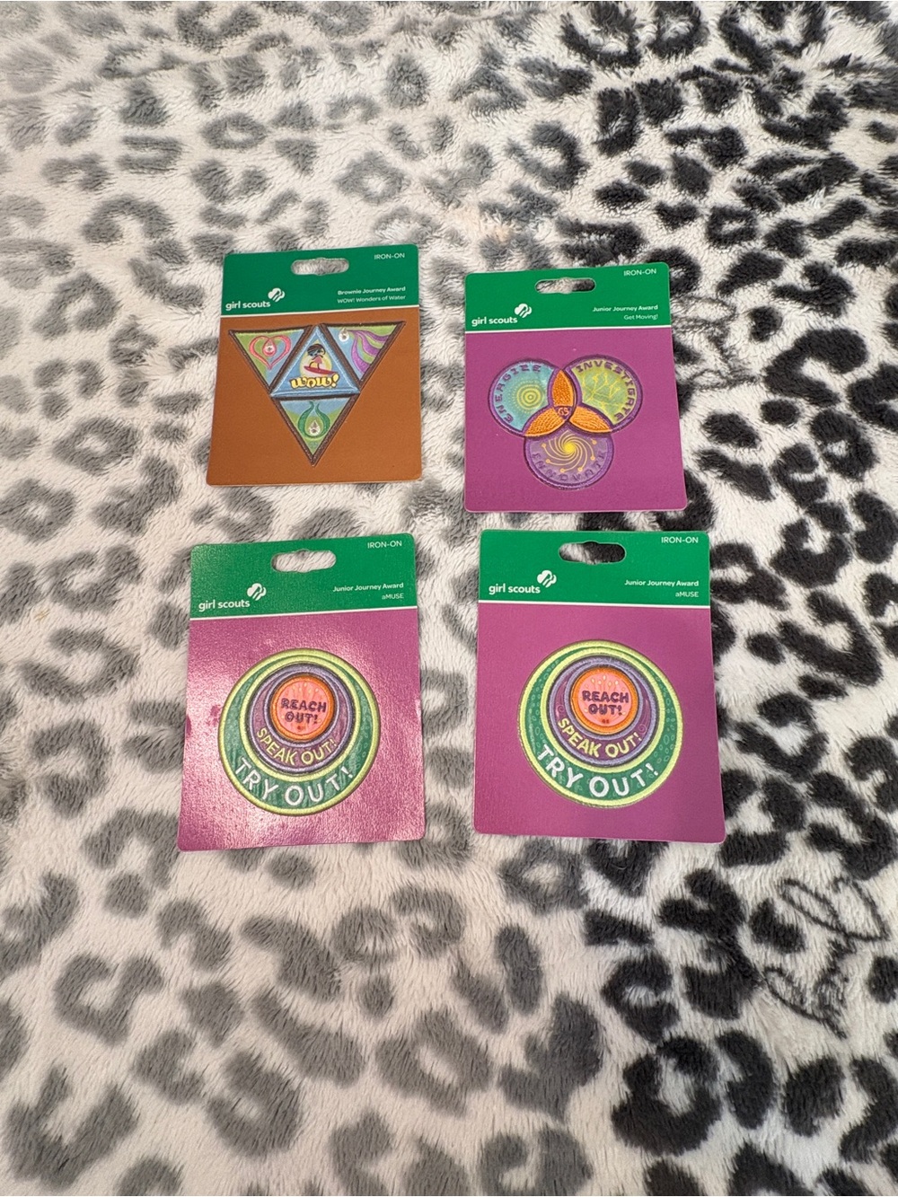 Girl Scouts Junior Badges